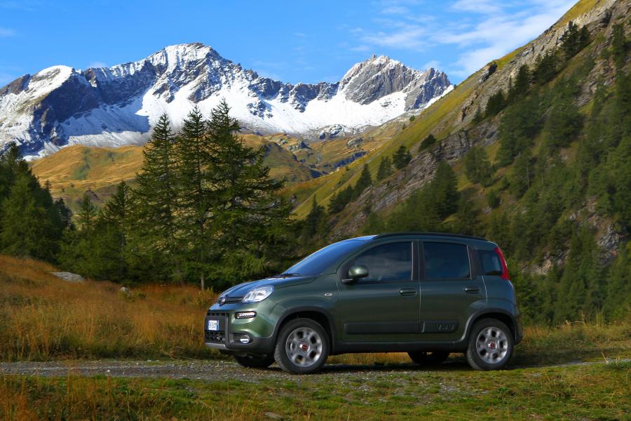  Fiat Panda 4x4 2012 года  (фото 47 из 77)